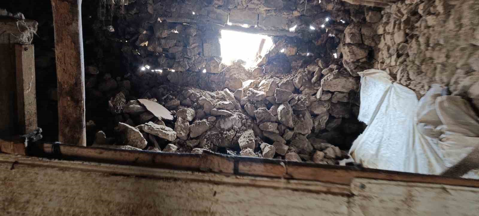 Van’daki depremde bir ahırın duvarı çöktü
