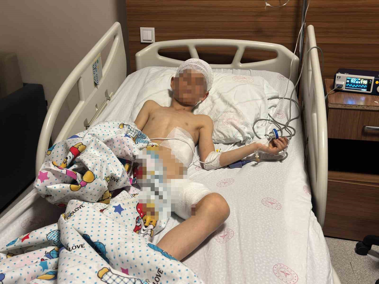 Van’daki köpek dehşetinde kan donduran detaylar
