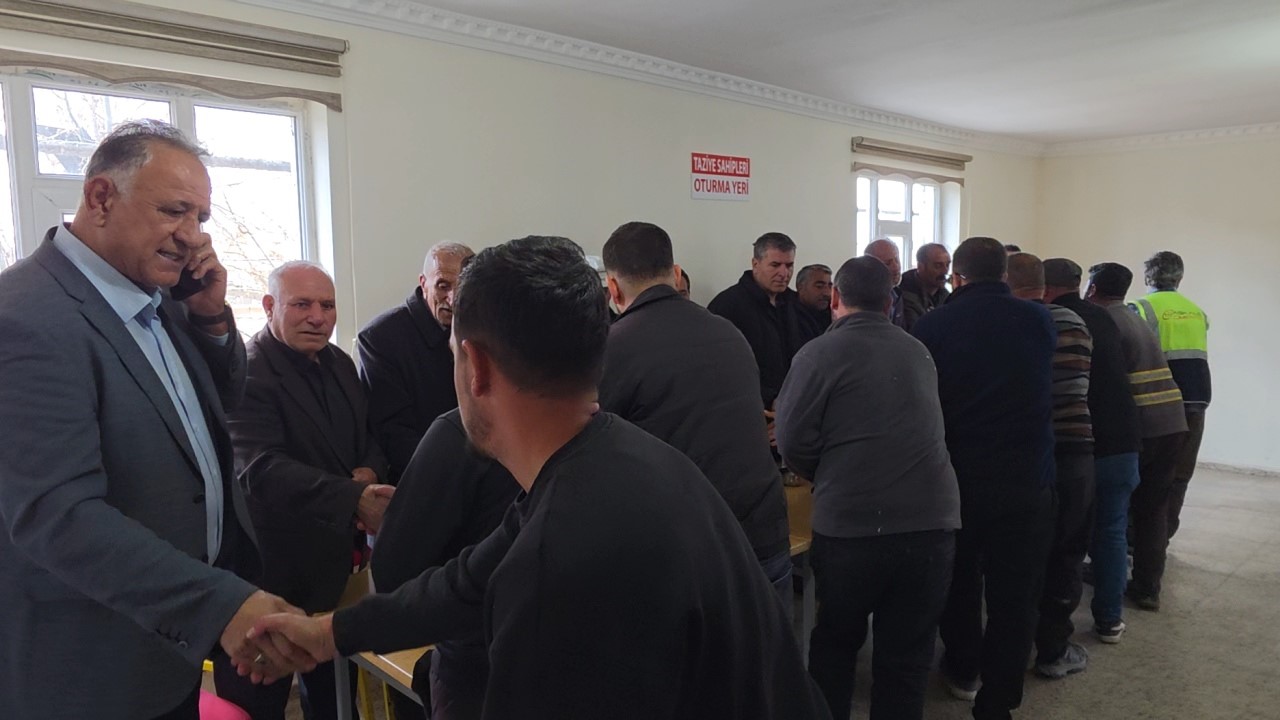 Van’daki köpek dehşetinde kan donduran detaylar
