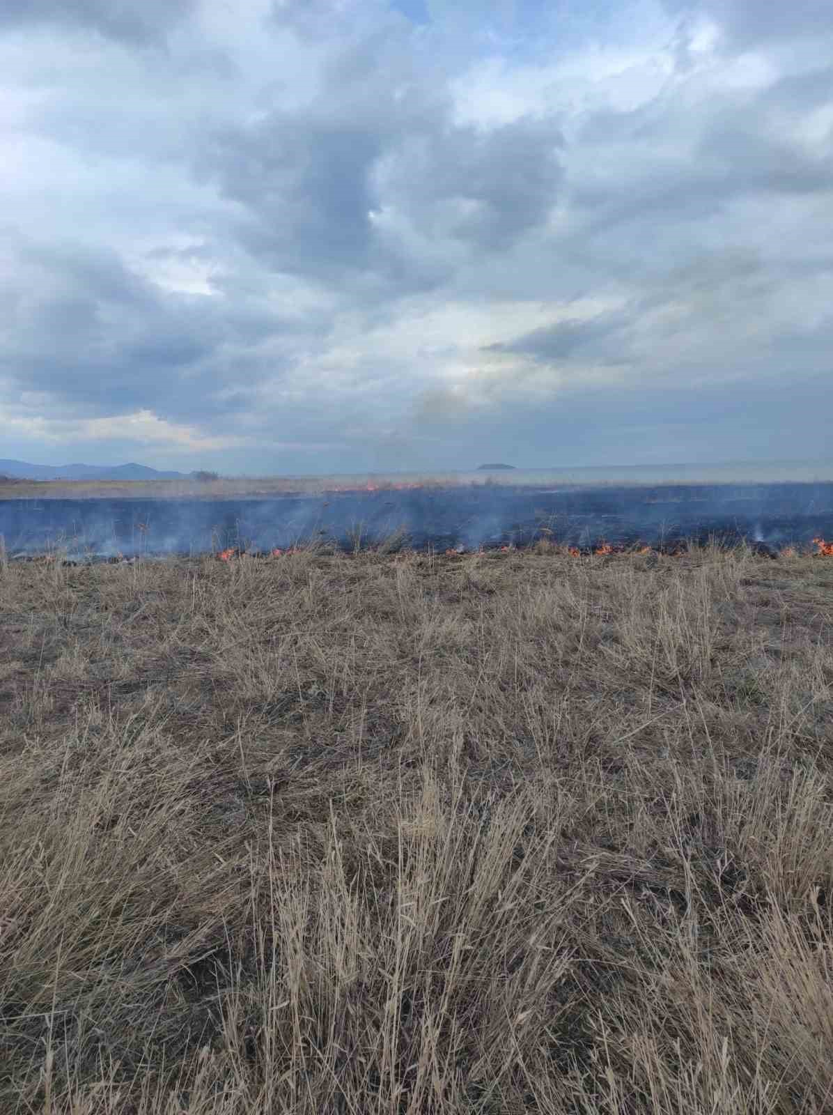Van’ın Gevaş ilçesinde anız yangını
