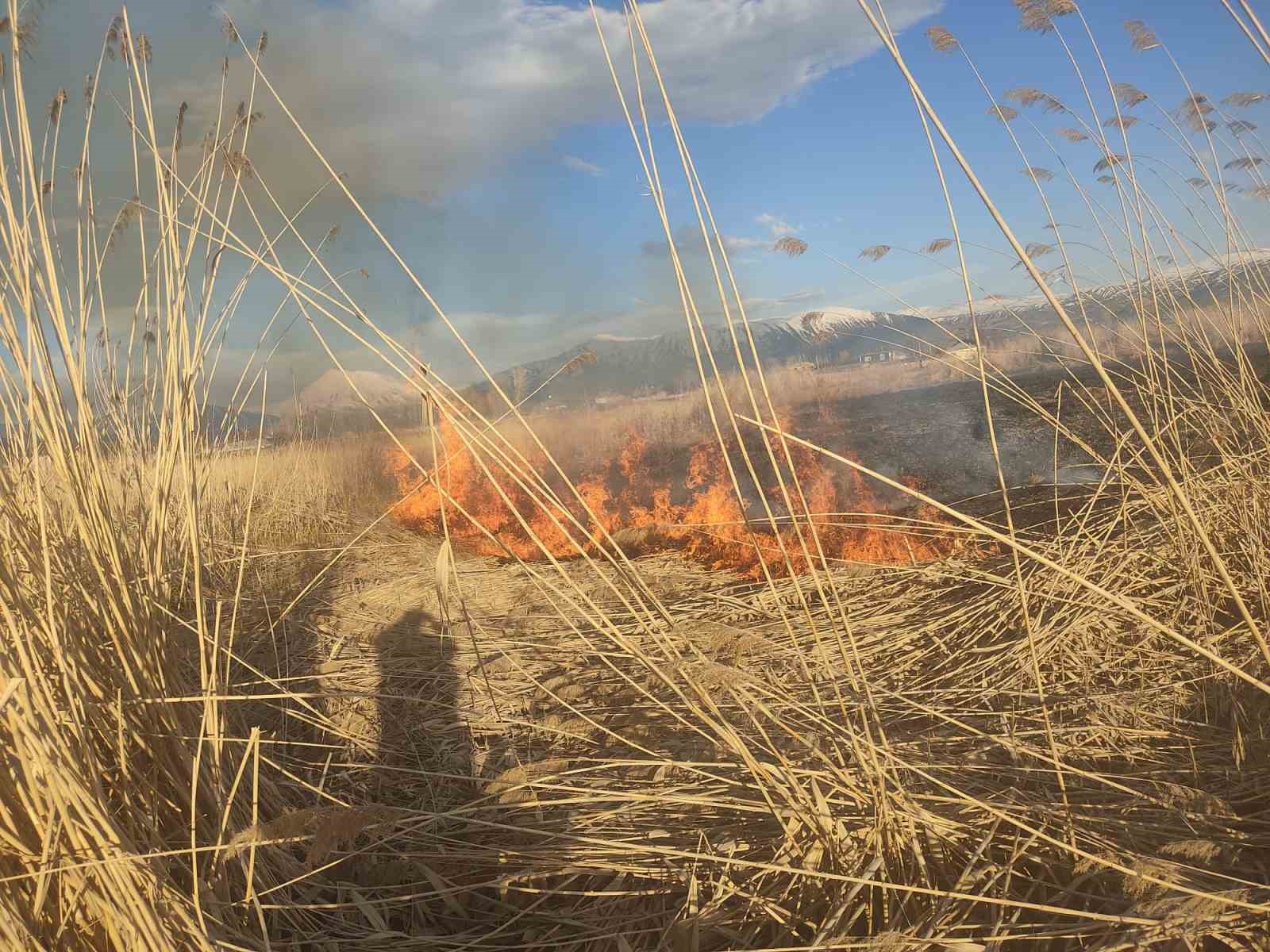 Van’ın Muradiye ilçesinde sazlık yangını
