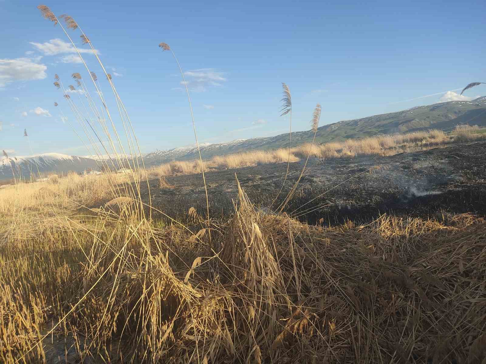 Van’ın Muradiye ilçesinde sazlık yangını
