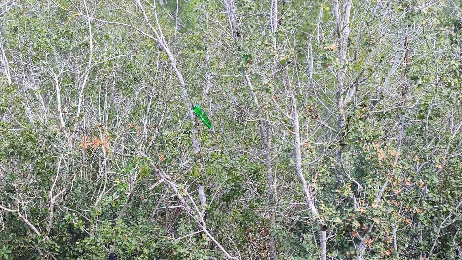 Vatandaşın ağaca astığı "Tabiat temiz kalsın" uyarısı yetmedi
