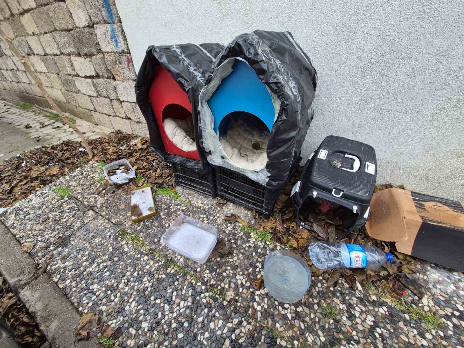 Vatandaşlardan sokak hayvanları için örnek davranış
