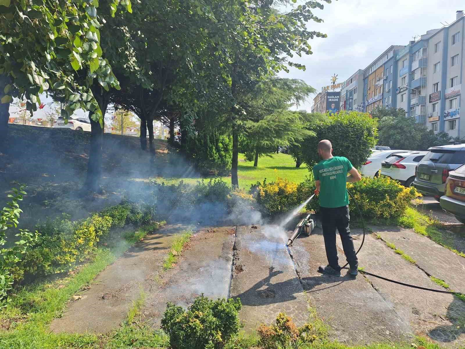 Vektörle mücadele kapsamında 24 milyon metrekare alan ilaçlandı
