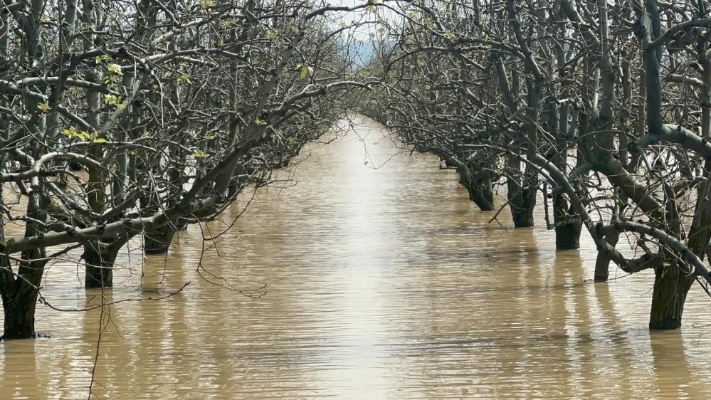 "Velhasıl sudan ibaret Bursa"nın dağı ovası suyla doldu
"Velhasıl sudan ibaret Bursa"nın dağı ovası suyla doldu