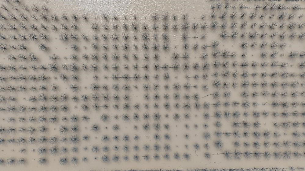 "Velhasıl sudan ibaret Bursa"nın dağı ovası suyla doldu
"Velhasıl sudan ibaret Bursa"nın dağı ovası suyla doldu