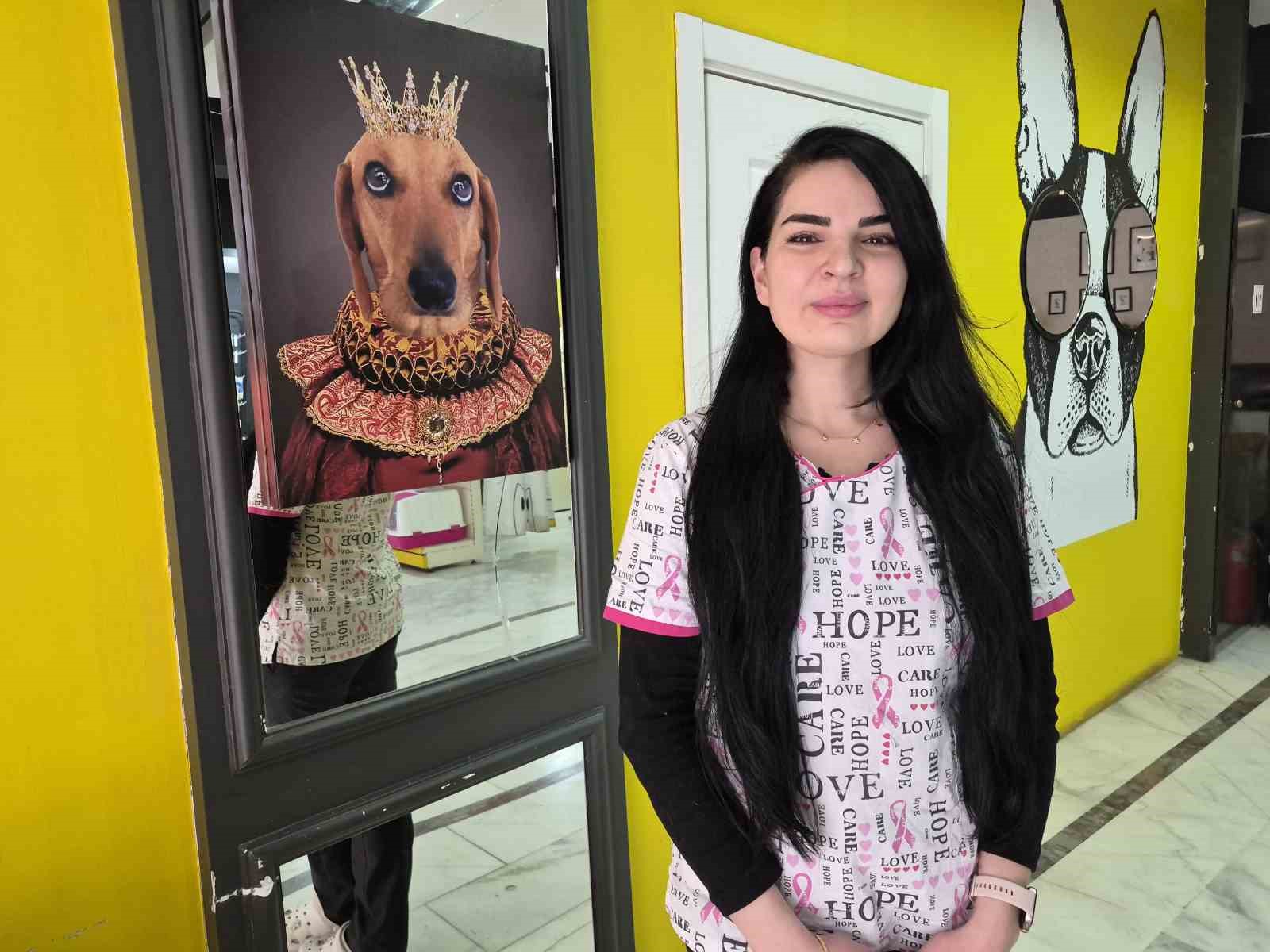 Veteriner kliniğindeki kedi ve köpek arasındaki ilginç dostluk
