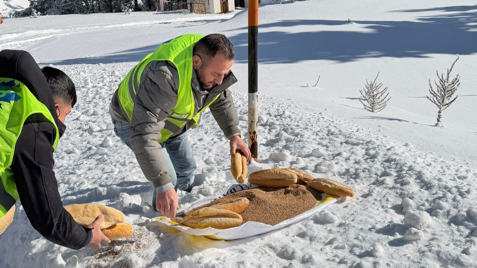 Yaban hayvanları için ormana yem bıraktılar
