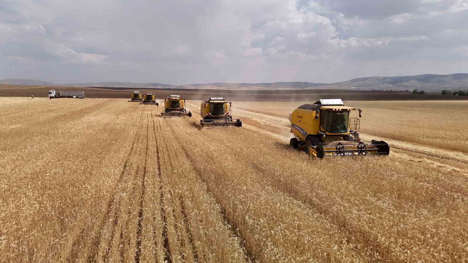 Yağan kar eridi, çiftçilerin yüzü güldü
