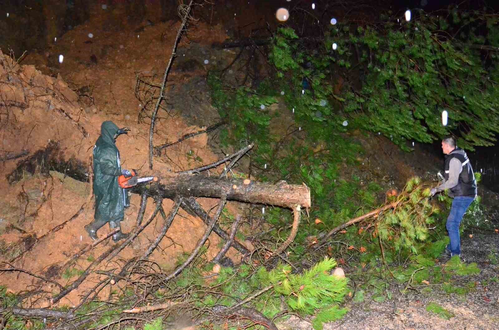 Yağış ağaçları devirdi, yol kısa sürede açıldı
