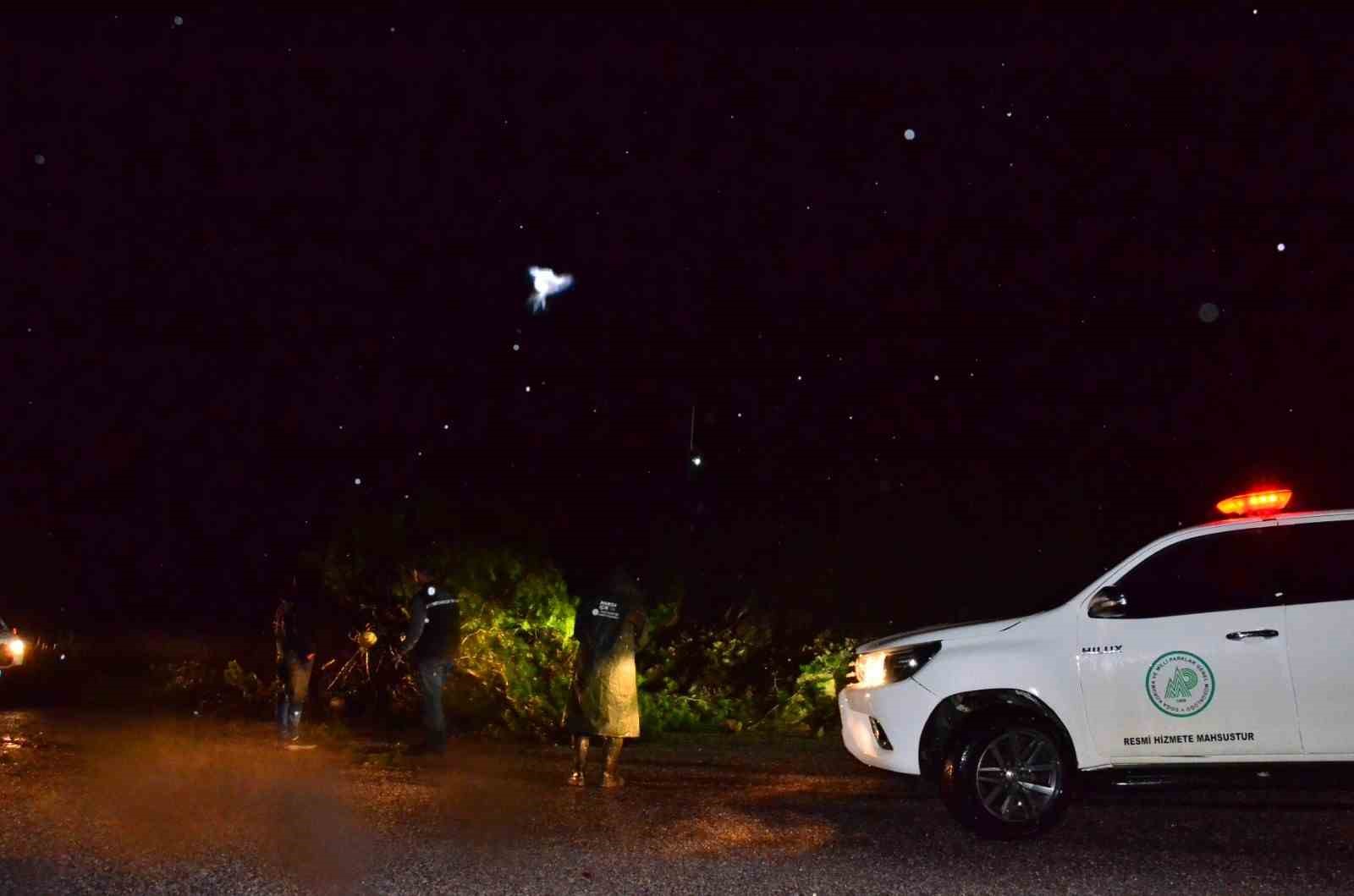 Yağış ağaçları devirdi, yol kısa sürede açıldı
