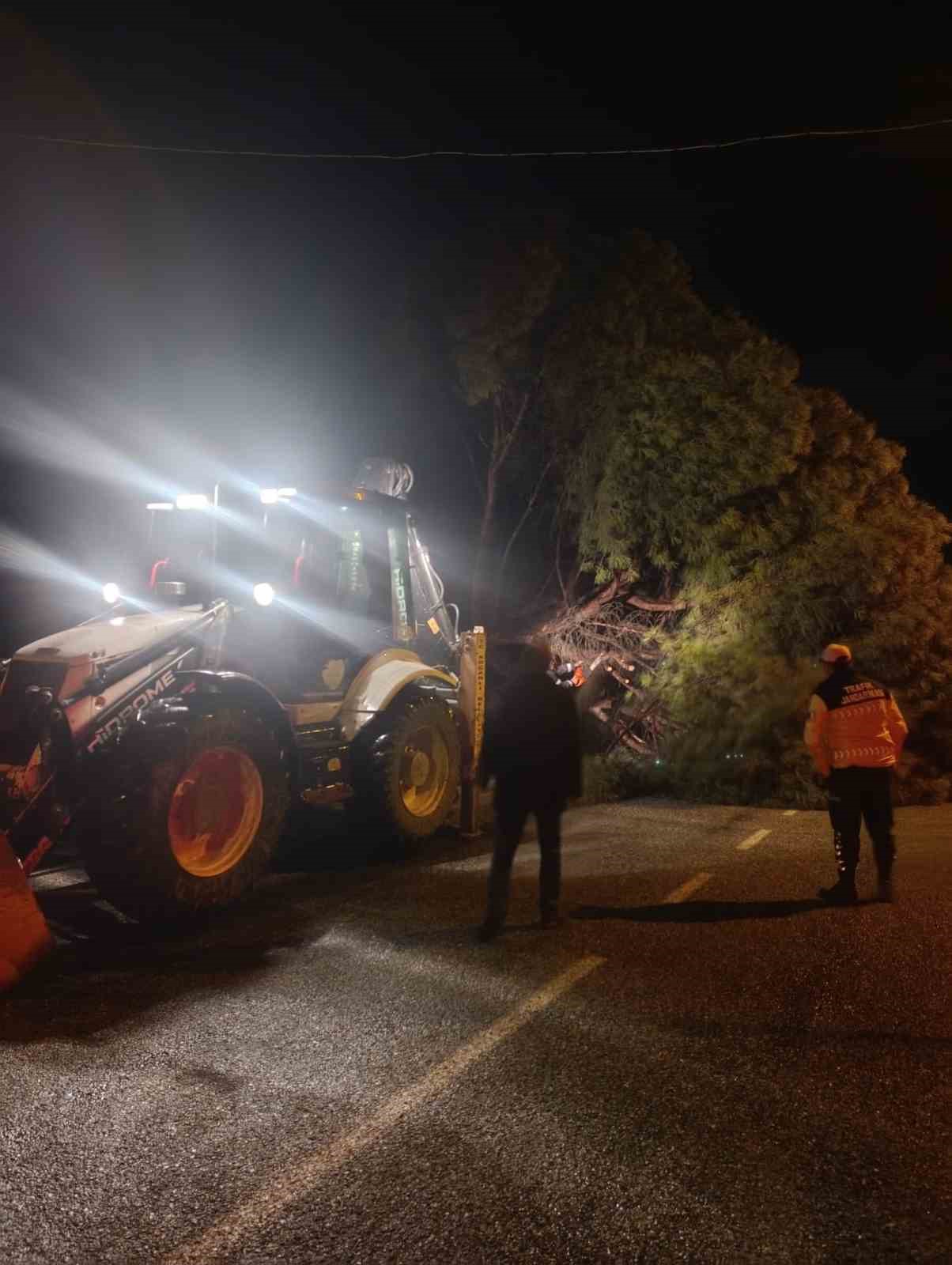 Yağış çam ağacını devirdi, ekipler çalışma başlattı
