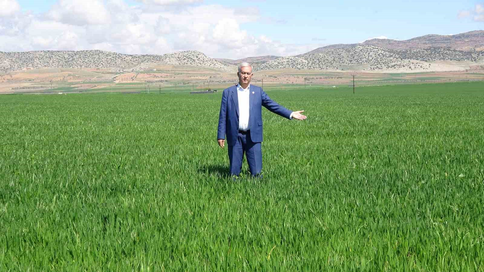 Yağışlar buğday üreticisinin yüzünü güldürdü
