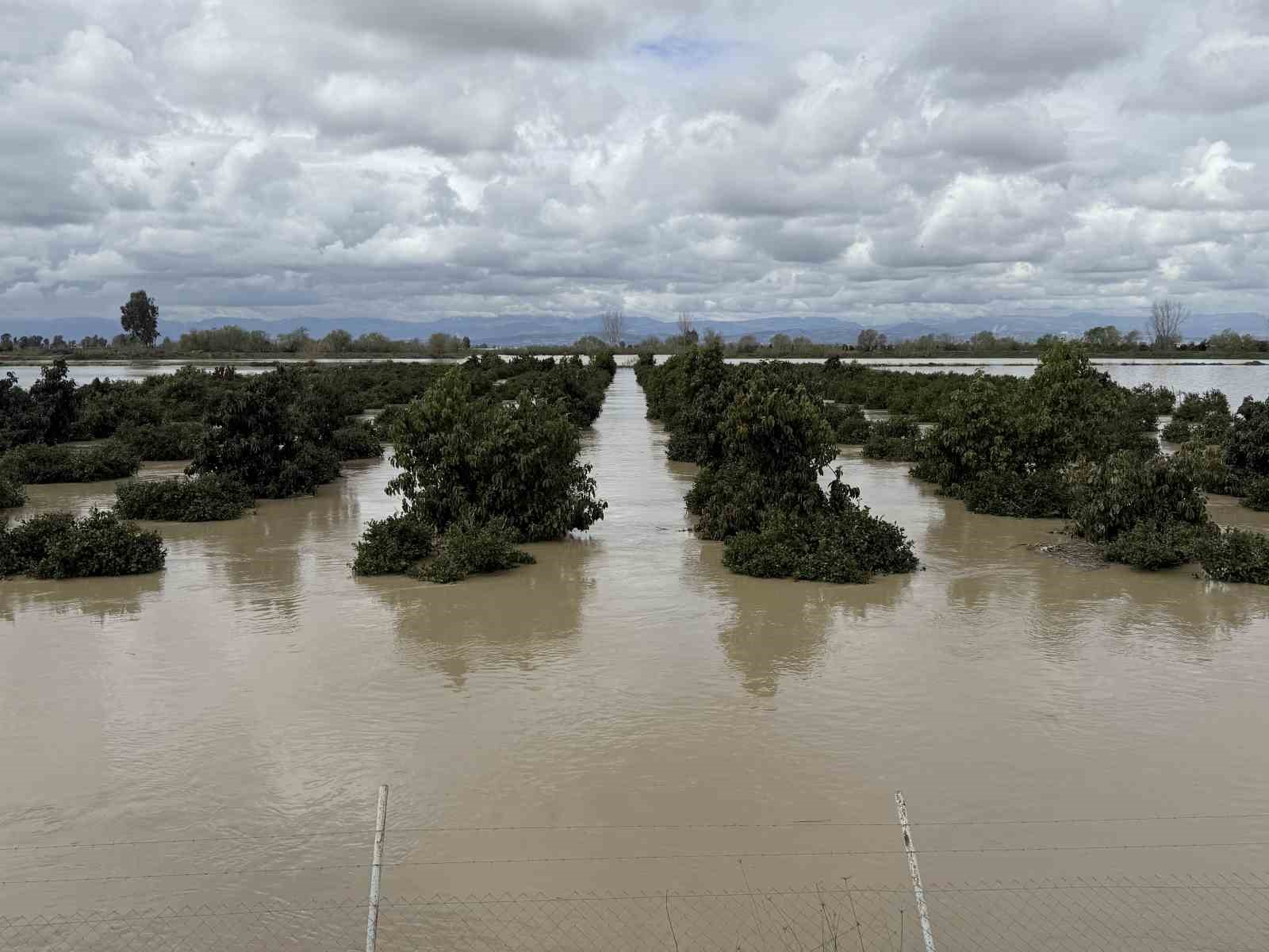 Yağışlar tarım arazilerini vurdu
