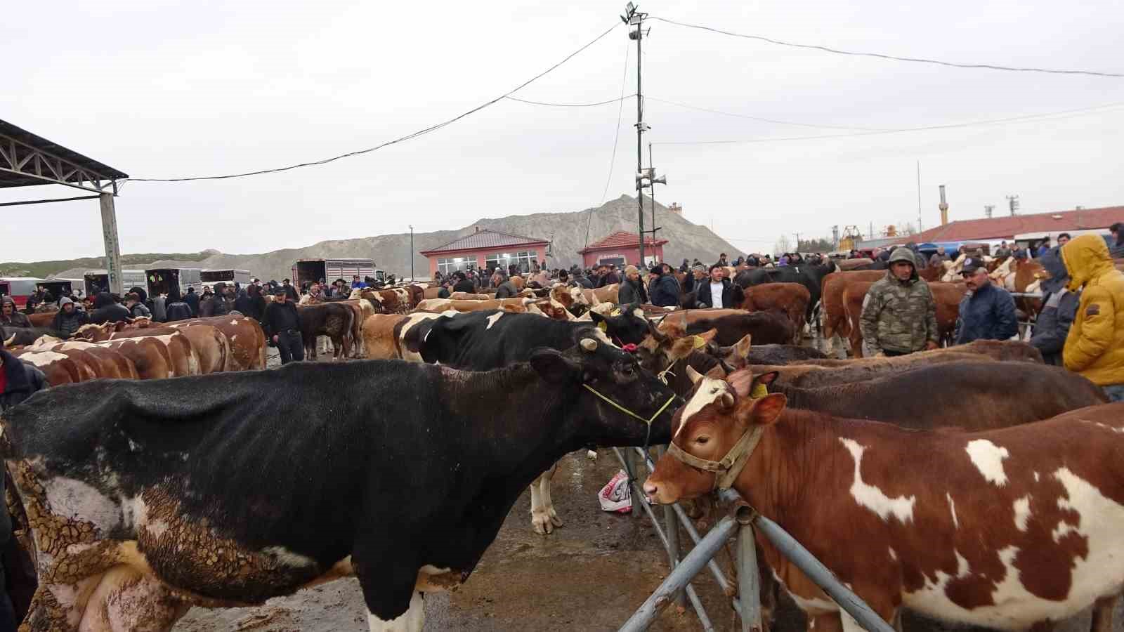 Yağışlı havaya aldırış etmeyen üreticiler ve alıcılar bu pazarda buluşuyor
