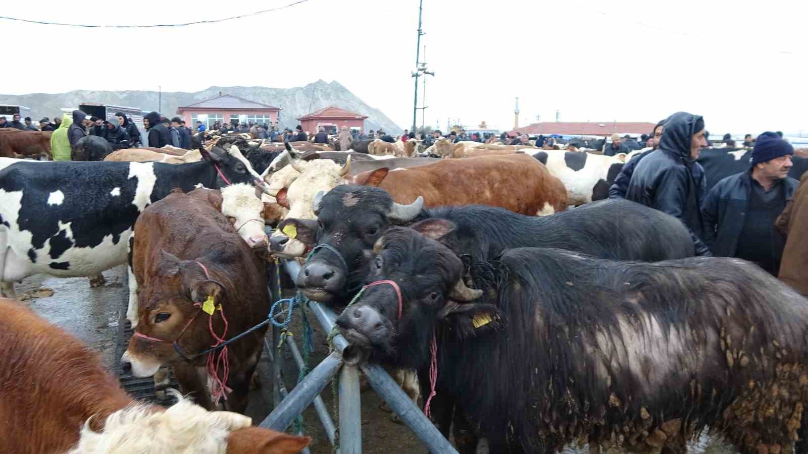 Yağışlı havaya aldırış etmeyen üreticiler ve alıcılar bu pazarda buluşuyor
