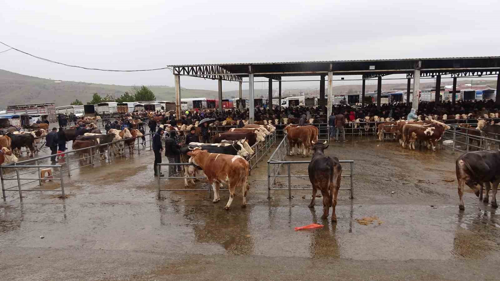 Yağışlı havaya aldırış etmeyen üreticiler ve alıcılar bu pazarda buluşuyor
