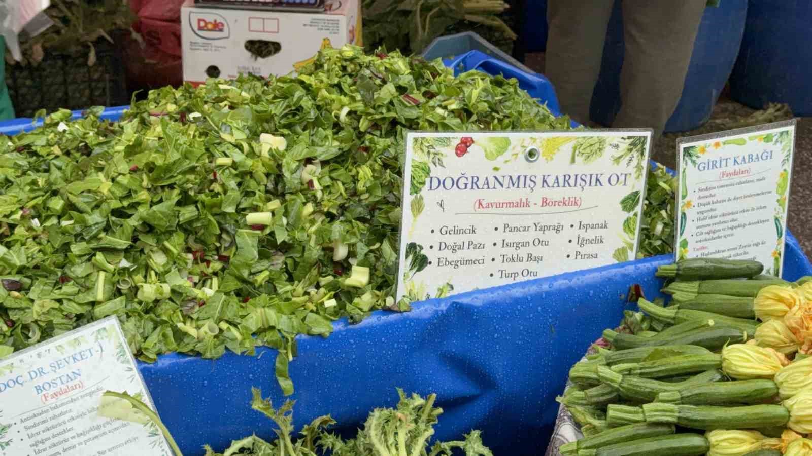 Yağmur dinlemediler: Bodrum Acı Ot Festivali’ne ziyaretçi akını
