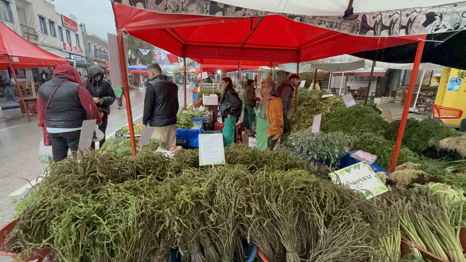 Yağmur dinlemediler: Bodrum Acı Ot Festivali’ne ziyaretçi akını
