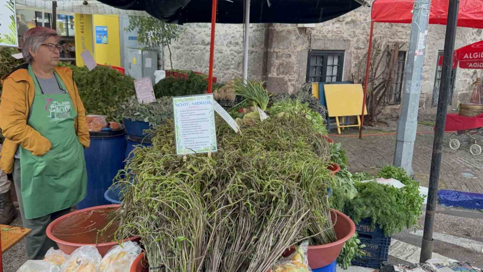 Yağmur dinlemediler: Bodrum Acı Ot Festivali’ne ziyaretçi akını
