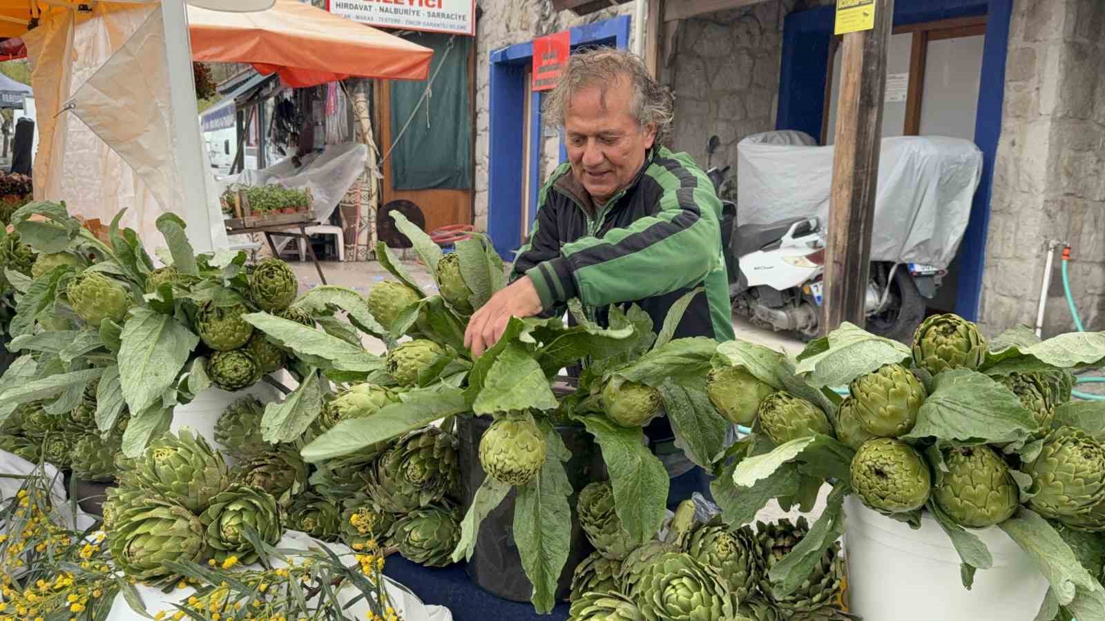 Yağmur dinlemediler: Bodrum Acı Ot Festivali’ne ziyaretçi akını
