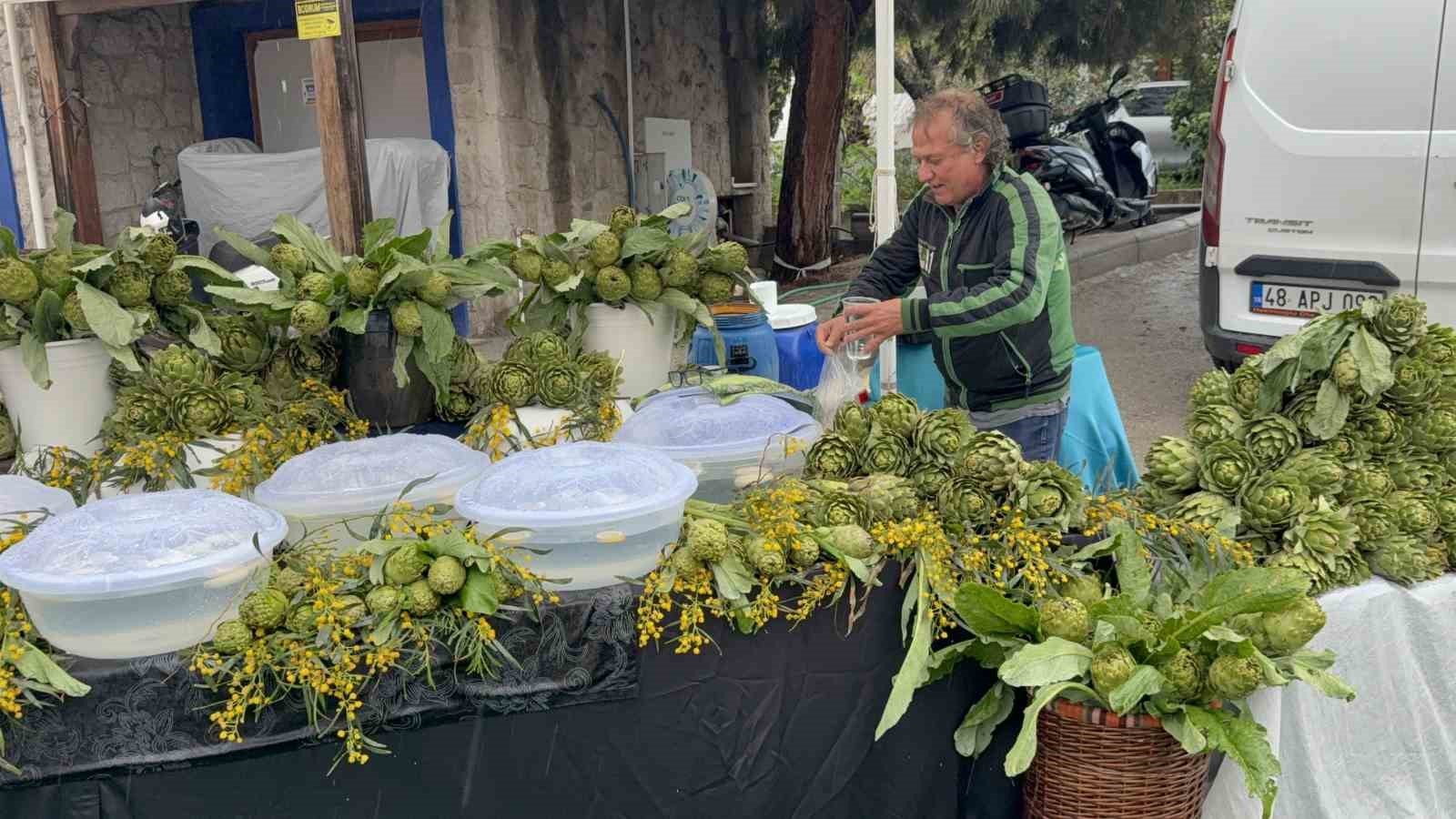 Yağmur dinlemediler: Bodrum Acı Ot Festivali’ne ziyaretçi akını
