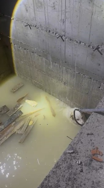 Yağmur sularıyla dolan asansör boşluğuna düşen köpek son anda kurtarıldı
