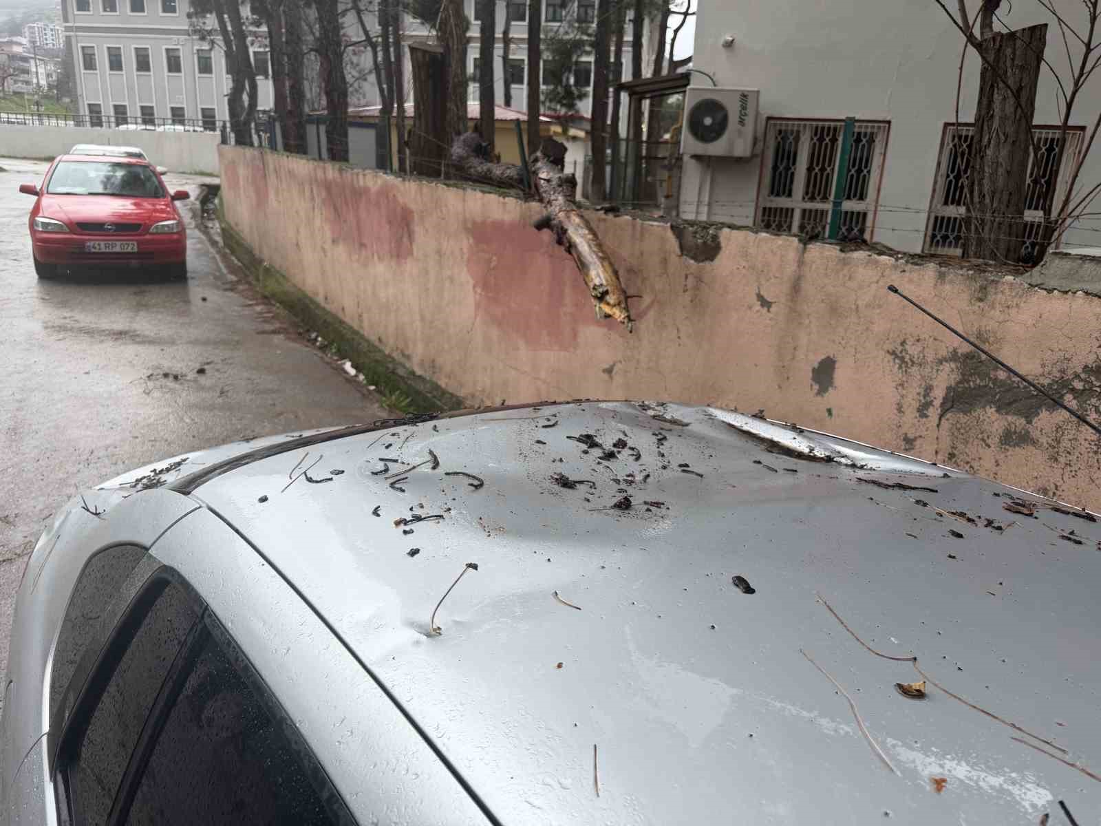 Yağmur ve şiddetli rüzgar çam ağacını devirdi, otomobil zarar gördü
