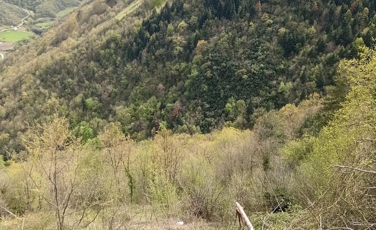 Yakakent’te traktör devrildi, sürücü yaralandı
