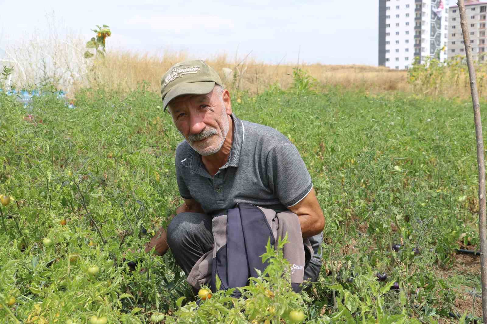 Yakalandığı hastalık, ata tohum mücadelesine engel olmadı
