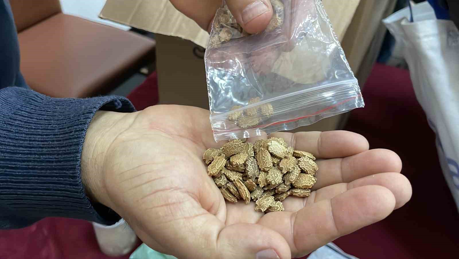 Yakalandığı hastalık, ata tohum mücadelesine engel olmadı
