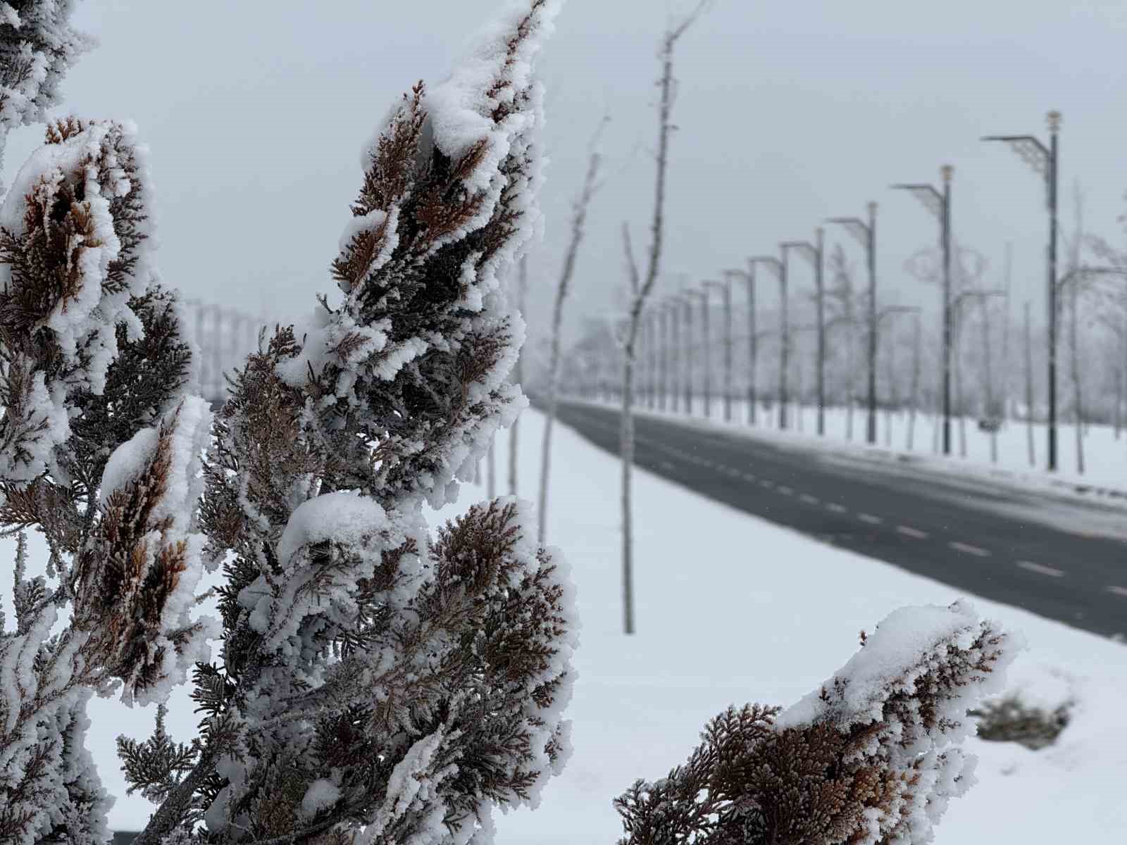 Yakutistan değil Sivas: Termometreler eksi 22 dereceyi gösterdi, şehirde hayat dondu
