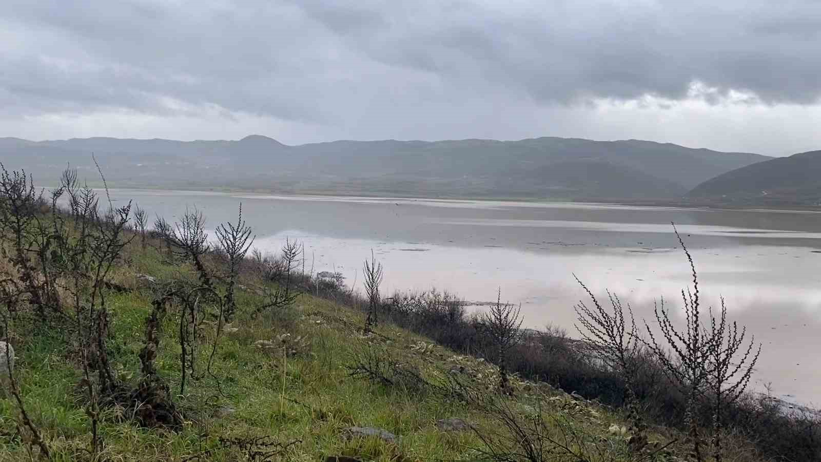 Yalancı bahar aldattı, badem ağaçları çiçek açtı

