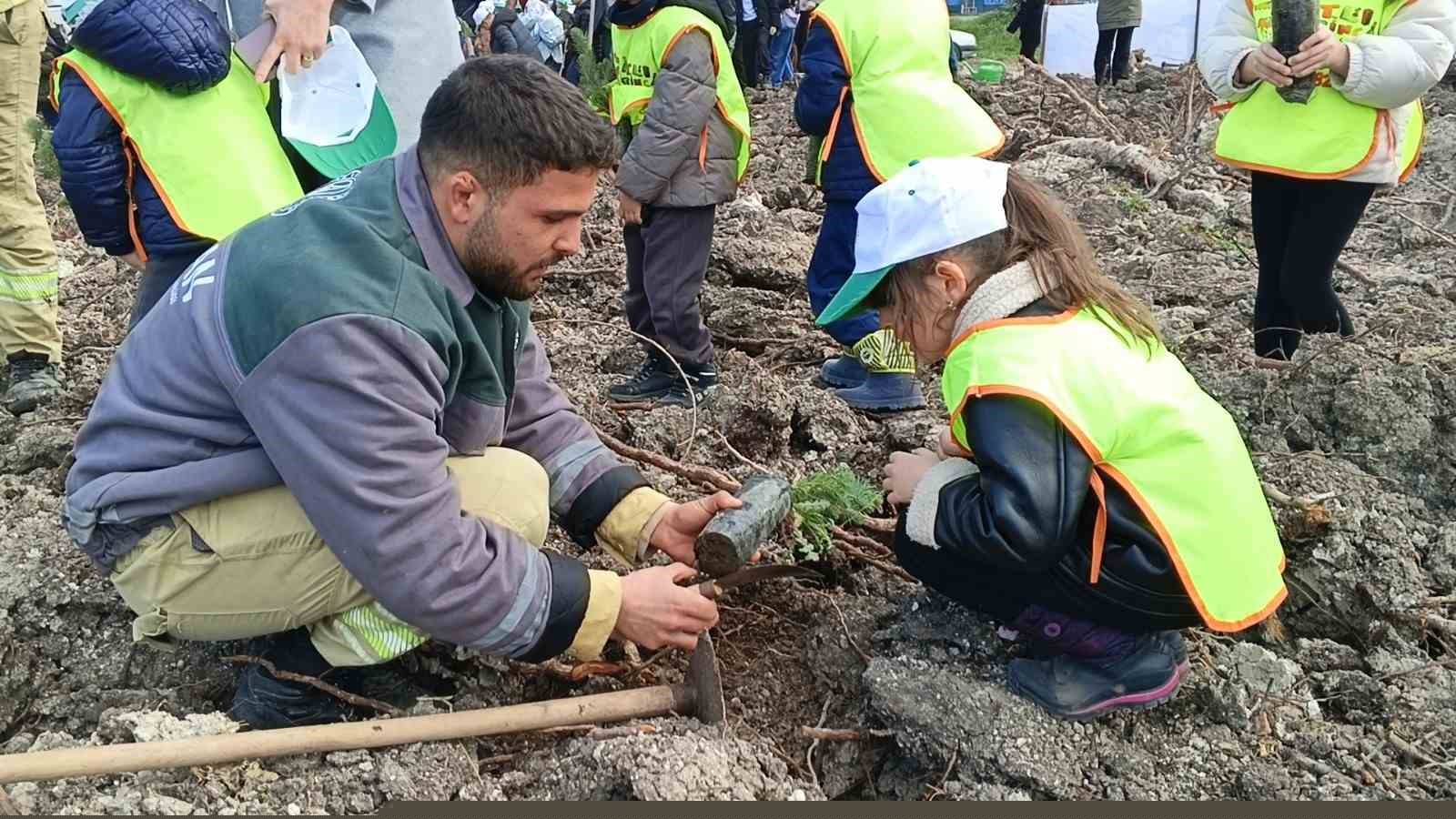 Yanan sahada geleceğe nefes: Aliağa’da yeni orman için ilk fidanlar dikildi
