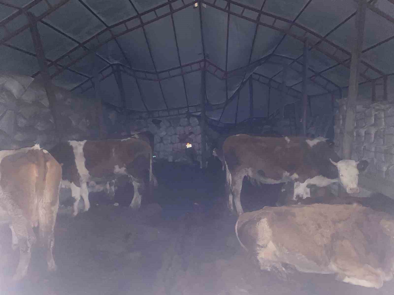 Yanlış ihbar, 15 saatlik mesaiyi boşa harcadı
