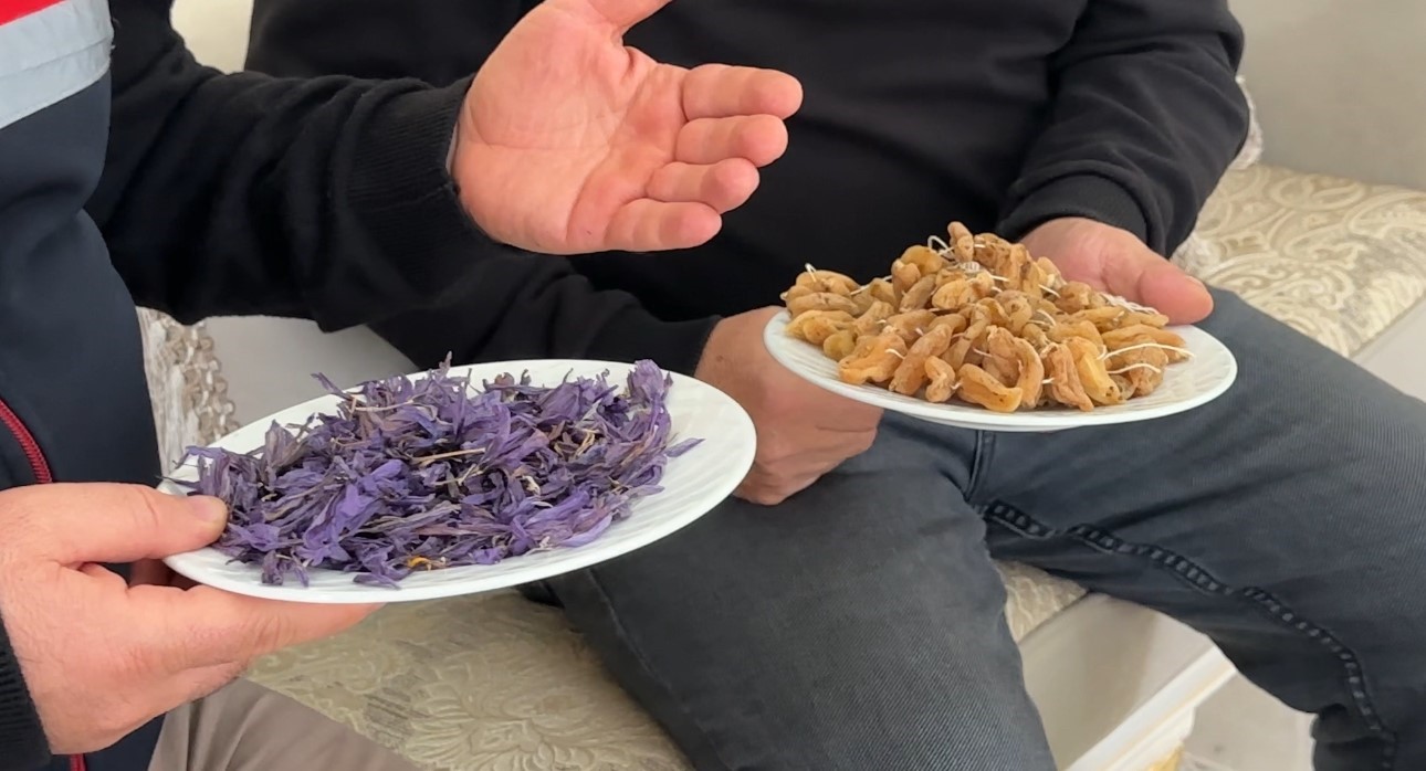 "Yapamazsın" diyenlere inat yetiştirdiği safran ve salebi evinde tüketiyor
