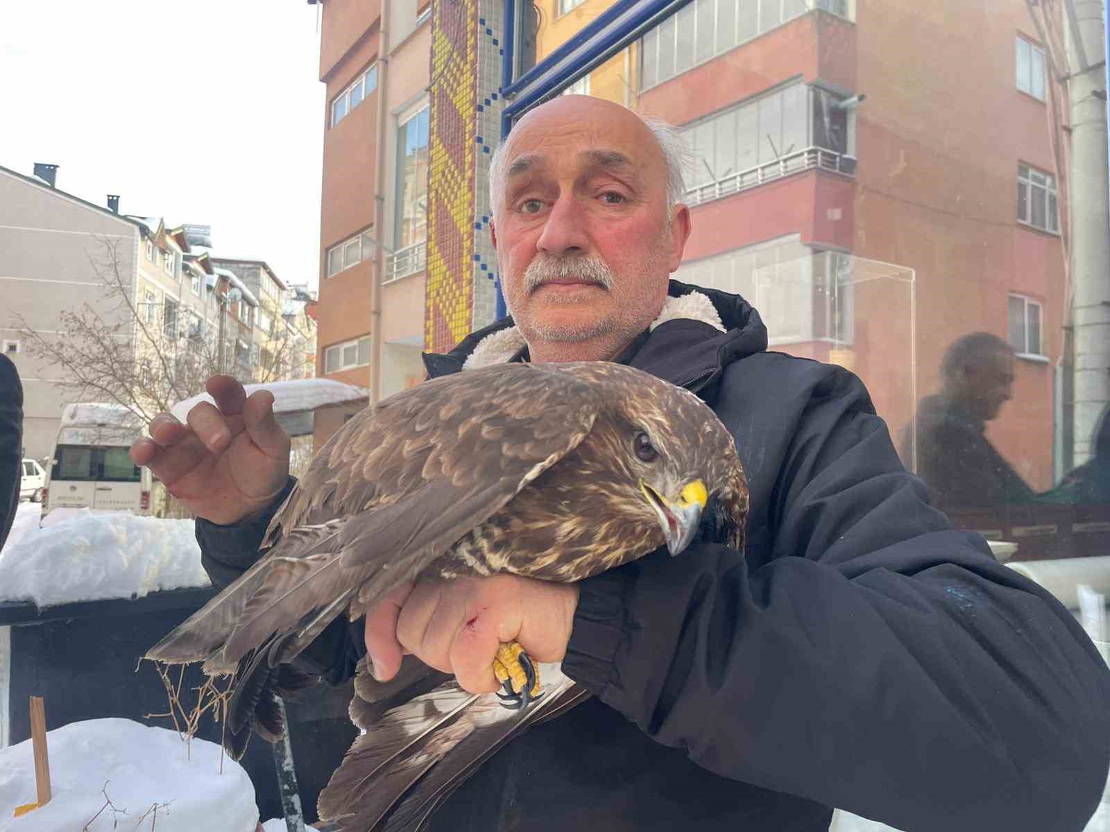 Yaralı boz şahine şefkat eli
