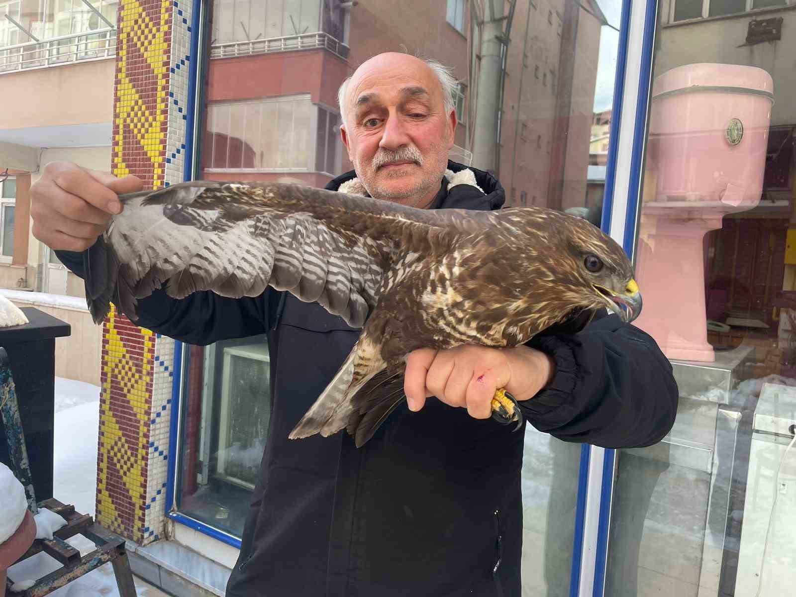 Yaralı boz şahine şefkat eli
