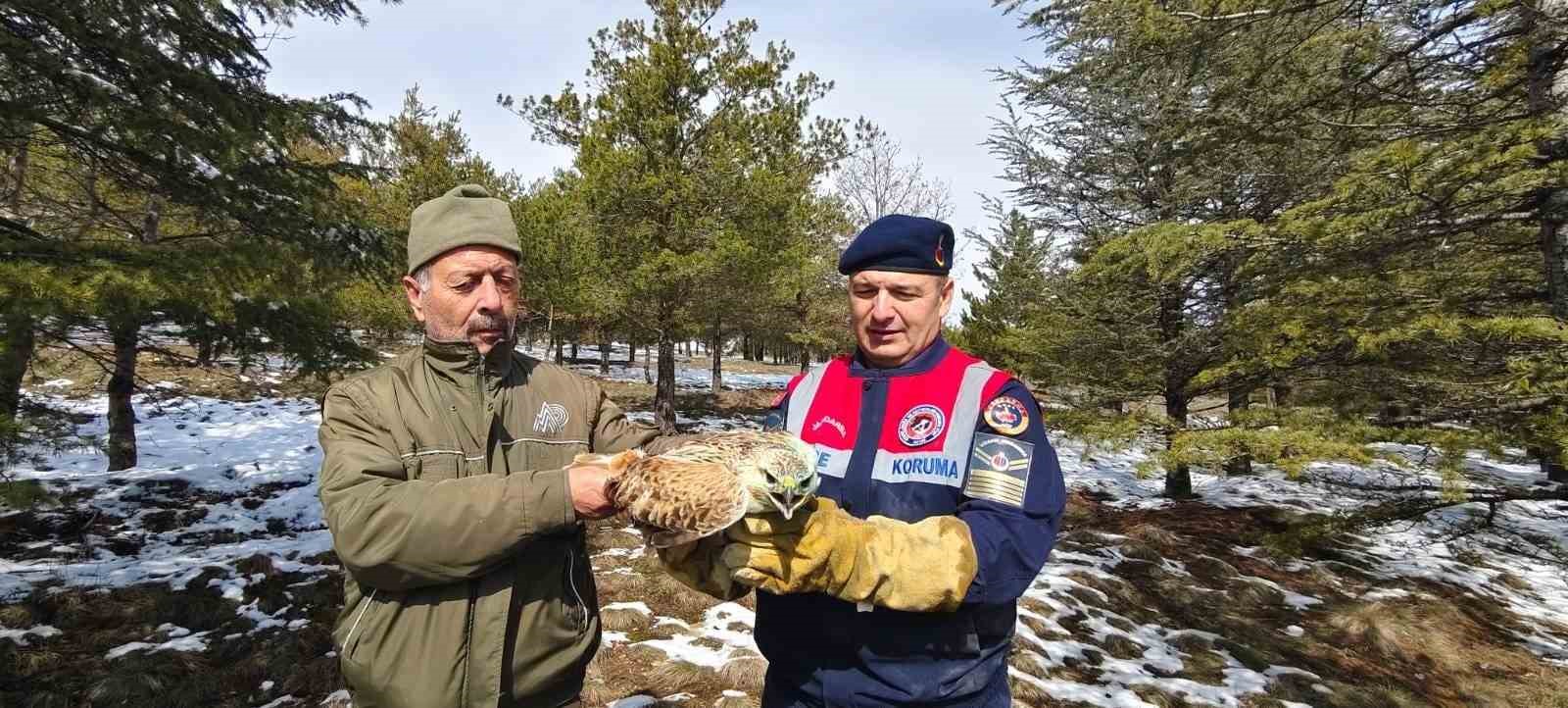 Yaralı Şahin’e Jandarma ekiplerinden yardım eli
