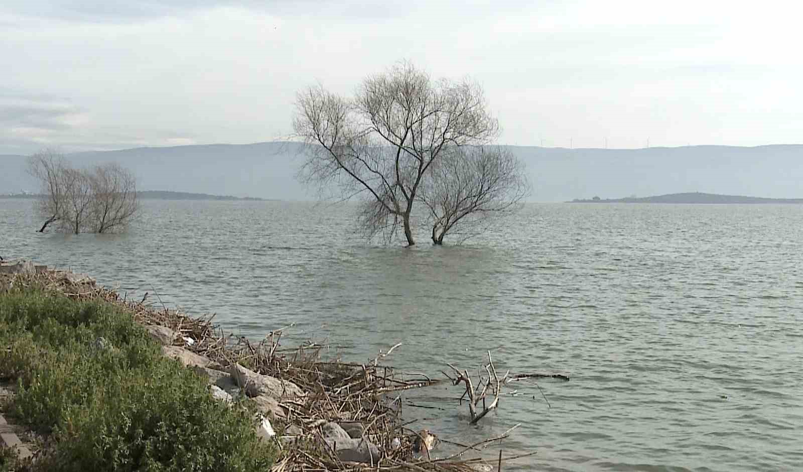 Yaren leyleğin köyü de yükselen göl sularından etkilendi
