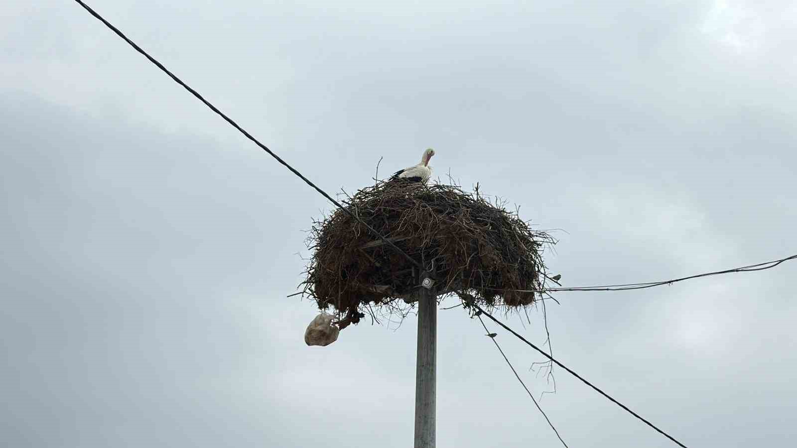 Yaren Leylek ve Adem amcaya yoğun ilgi
