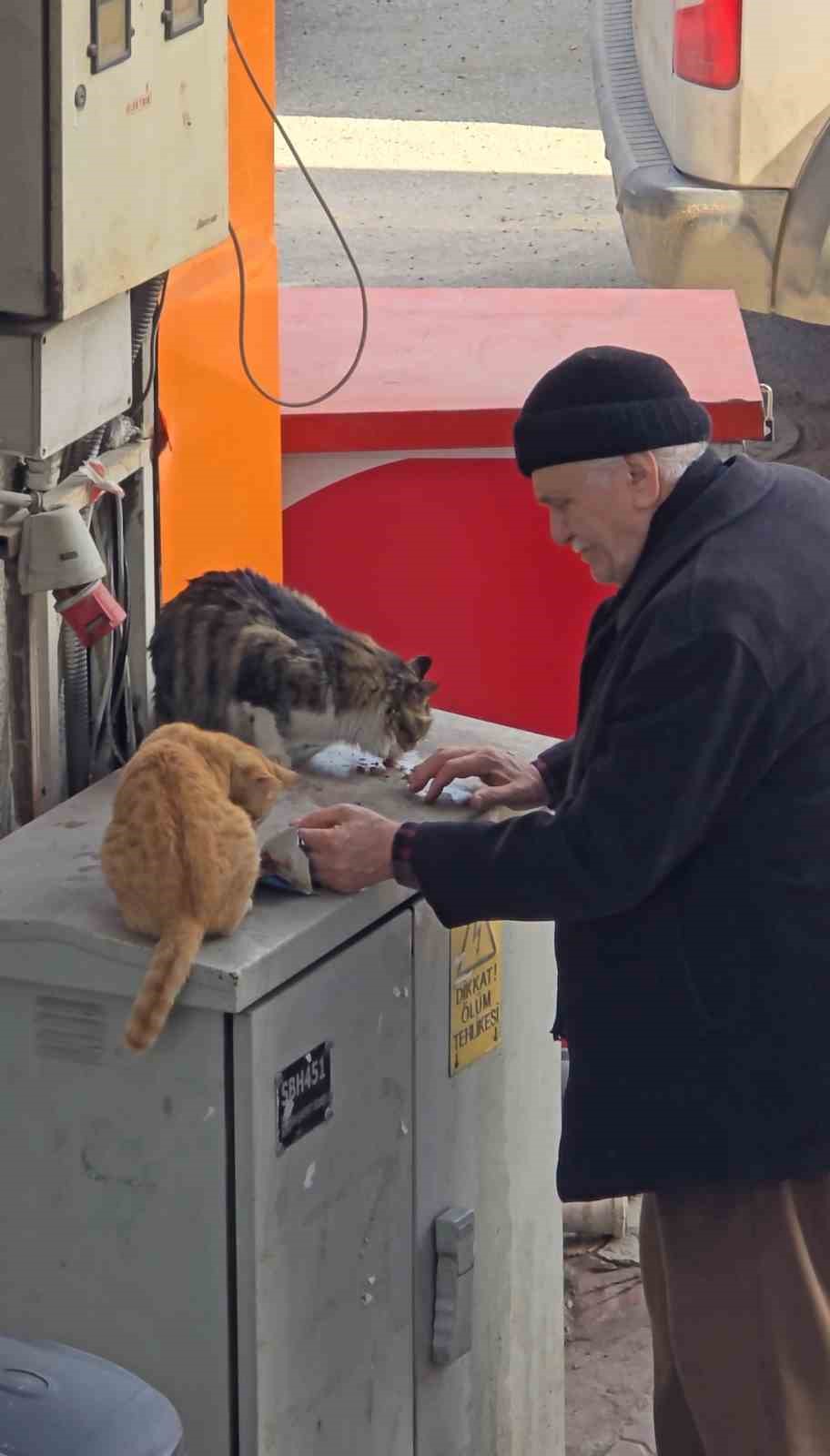 Yaşlı adamın sokak kedilerine şefkati yürekleri ısıttı
