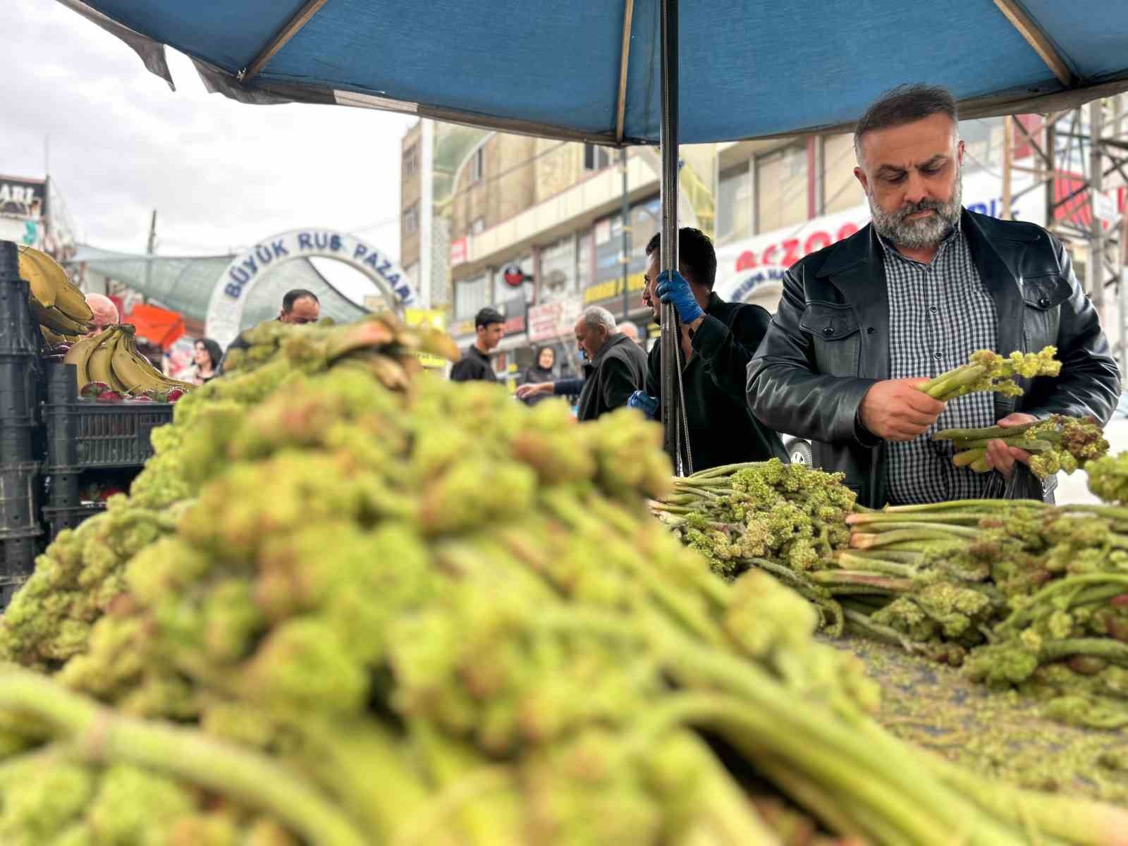 Yayla muzu uçkun tezgaha çıktı
