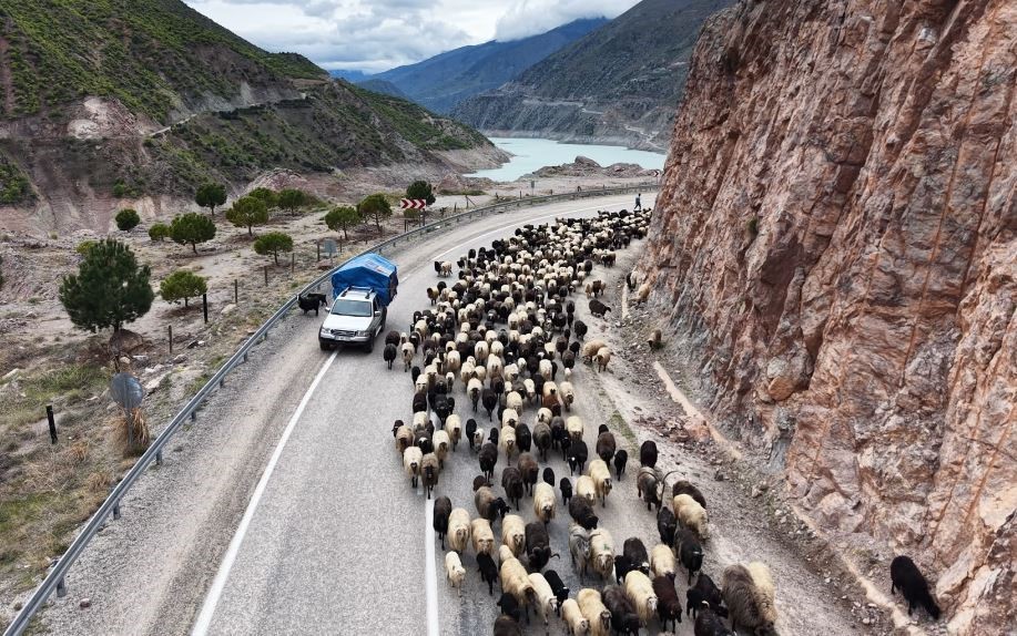 Yayla yolunda zorlu göçler başladı
