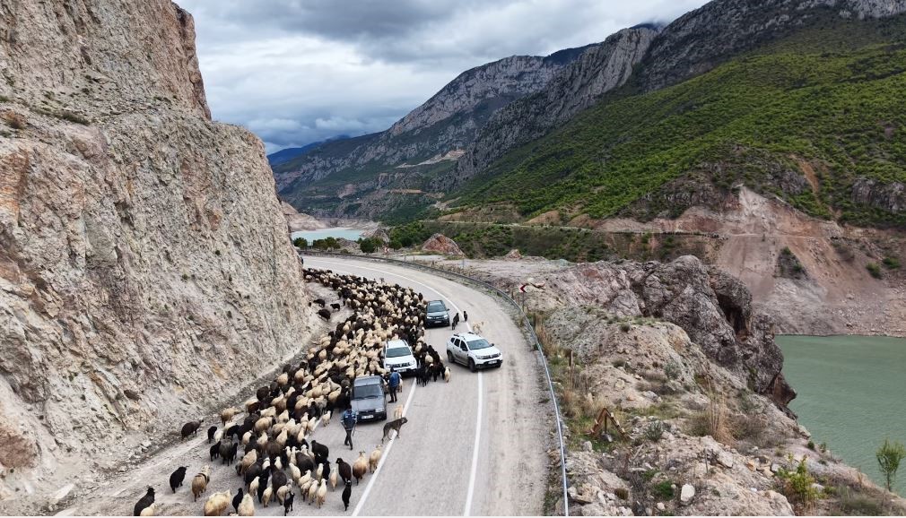 Yayla yolunda zorlu göçler başladı
