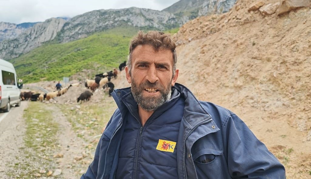 Yayla yolunda zorlu göçler başladı
