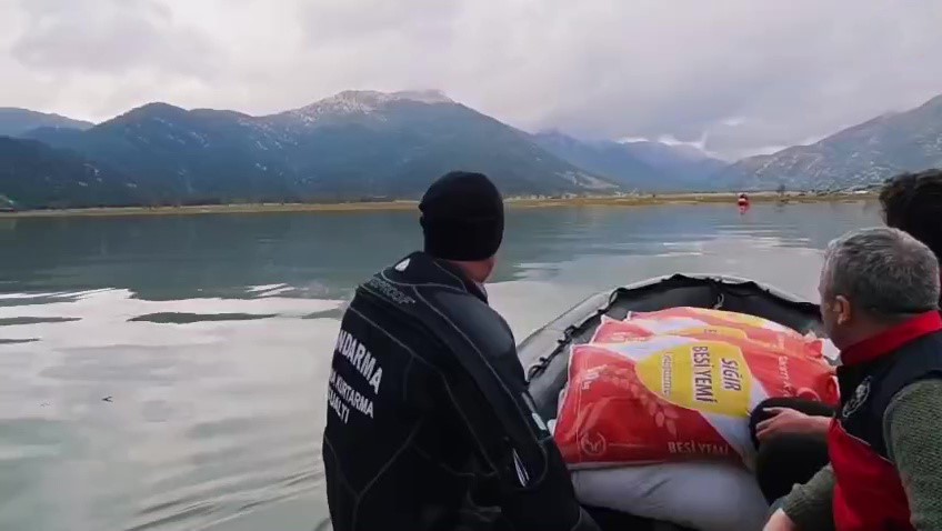 Yaylada mahsur kalan çoban ve yüzlerce hayvana botla yem ile erzak taşıdılar
