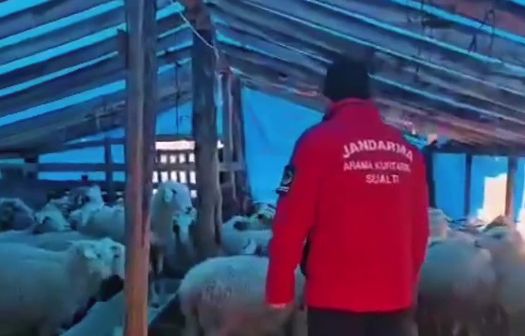 Yaylada mahsur kalan çoban ve yüzlerce hayvana botla yem ile erzak taşıdılar
