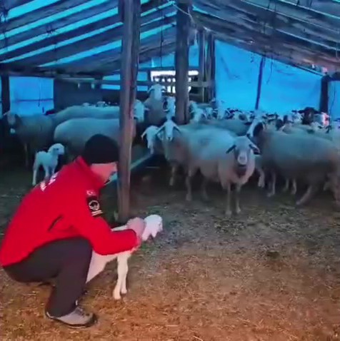Yaylada mahsur kalan çoban ve yüzlerce hayvana botla yem ile erzak taşıdılar
